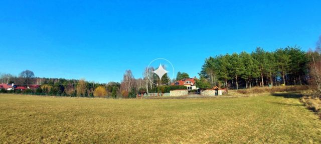 Działka rolna Marcinkowo. Zdjęcie 5