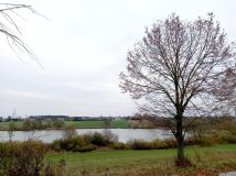 Działka budowlana Radzyny, ul. Winogronowa. Zdjęcie 2