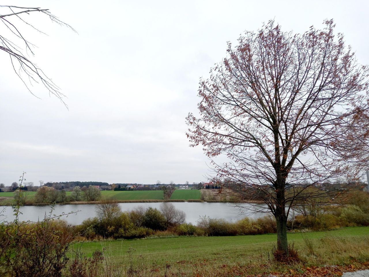 Działka budowlana Radzyny, ul. Winogronowa. Zdjęcie 3