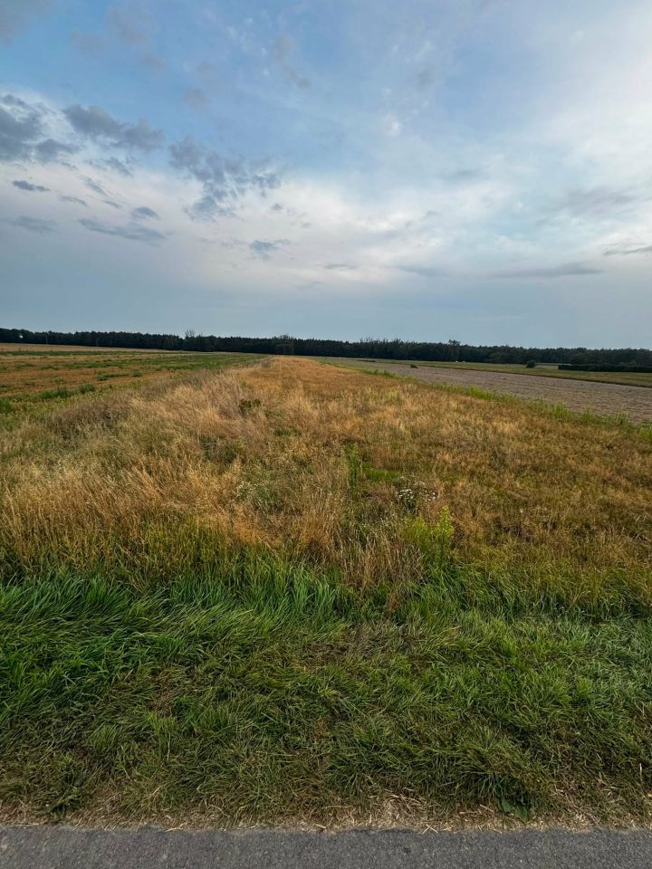 Działka rolno-budowlana Żyrzyn, ul. Plebańska. Zdjęcie 2