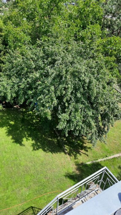 Działka rod Gdańsk Jasień. Zdjęcie 4