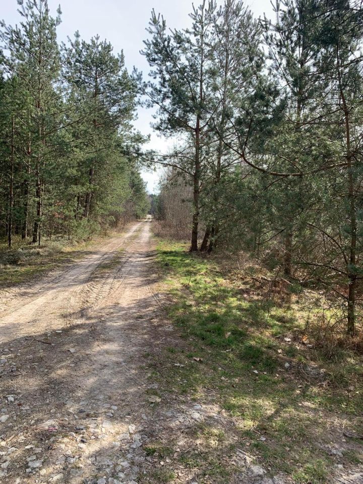 Działka rolno-budowlana Podgać. Zdjęcie 5