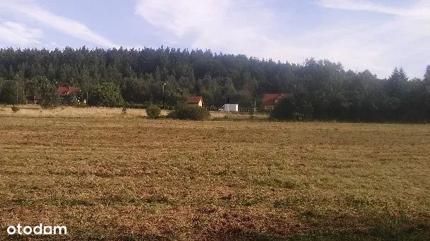 Działka budowlana Orłowice. Zdjęcie 2