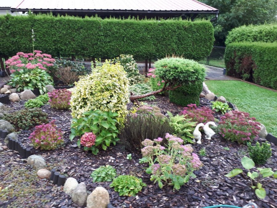 Działka rod Gdańsk Klukowo, ul. Meteorytowa. Zdjęcie 3