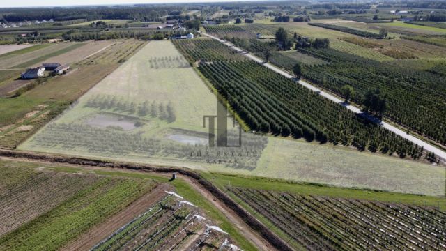 Działka rolna Boglewice. Zdjęcie 2