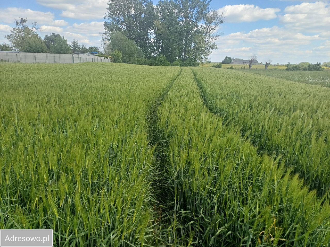 Działka budowlana Gaj Wielki, ul. Kościelna. Zdjęcie 4