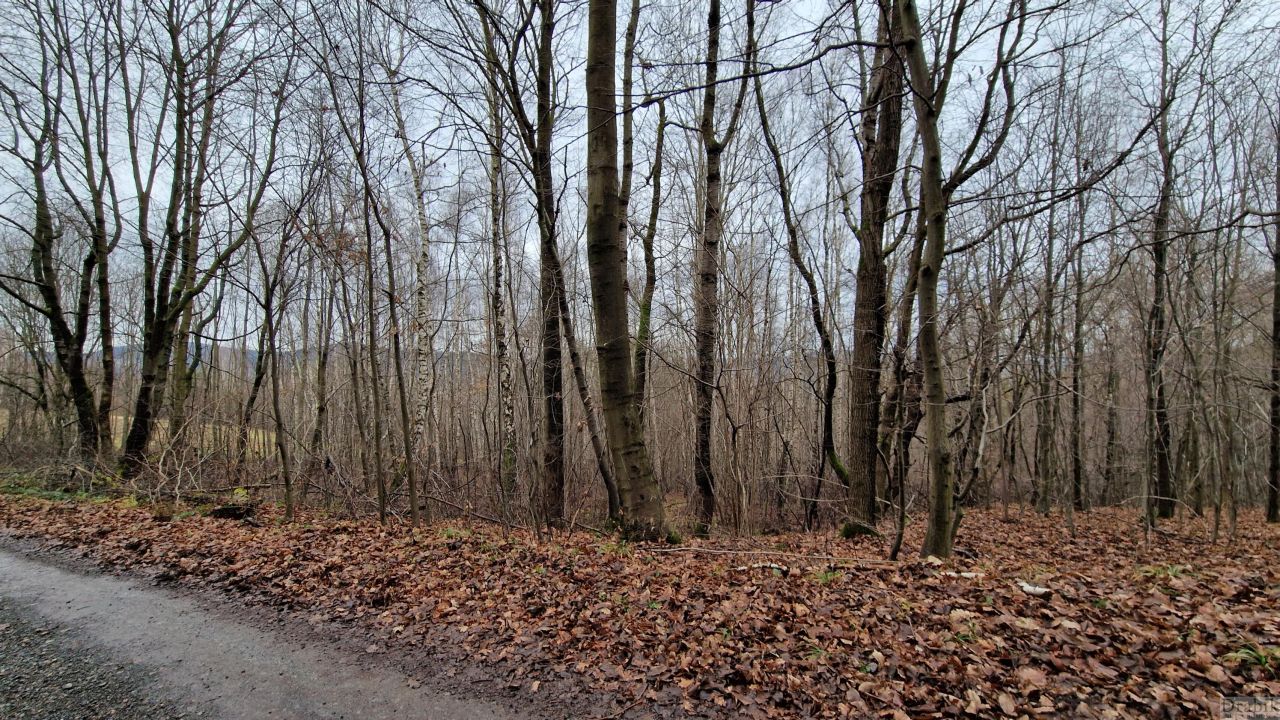 dom szeregowy, 4 pokoje Tarnawa Dolna. Zdjęcie 9