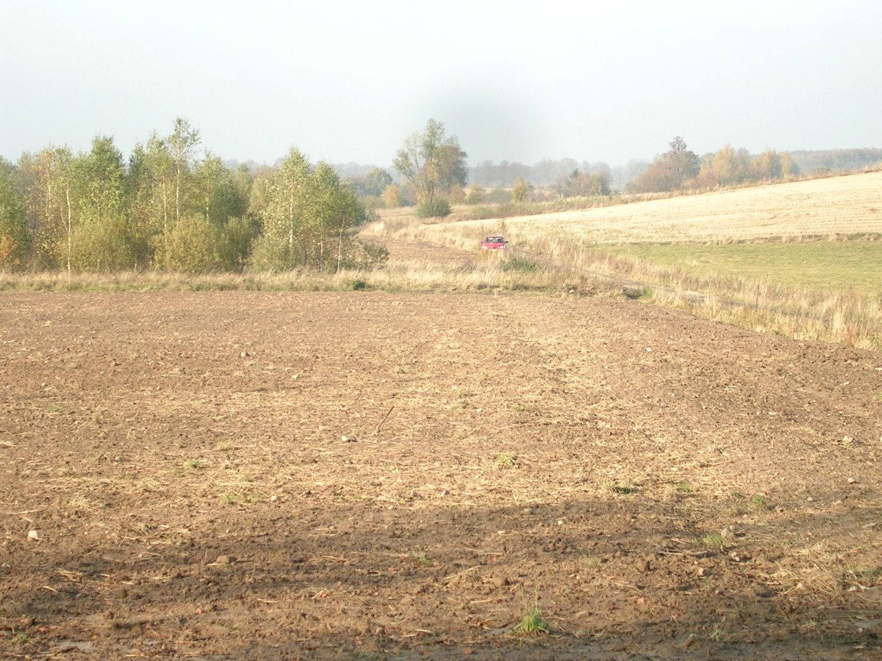 Działka rolna Strużyna. Zdjęcie 6