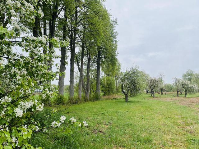 Działka budowlana Janówka. Zdjęcie 1