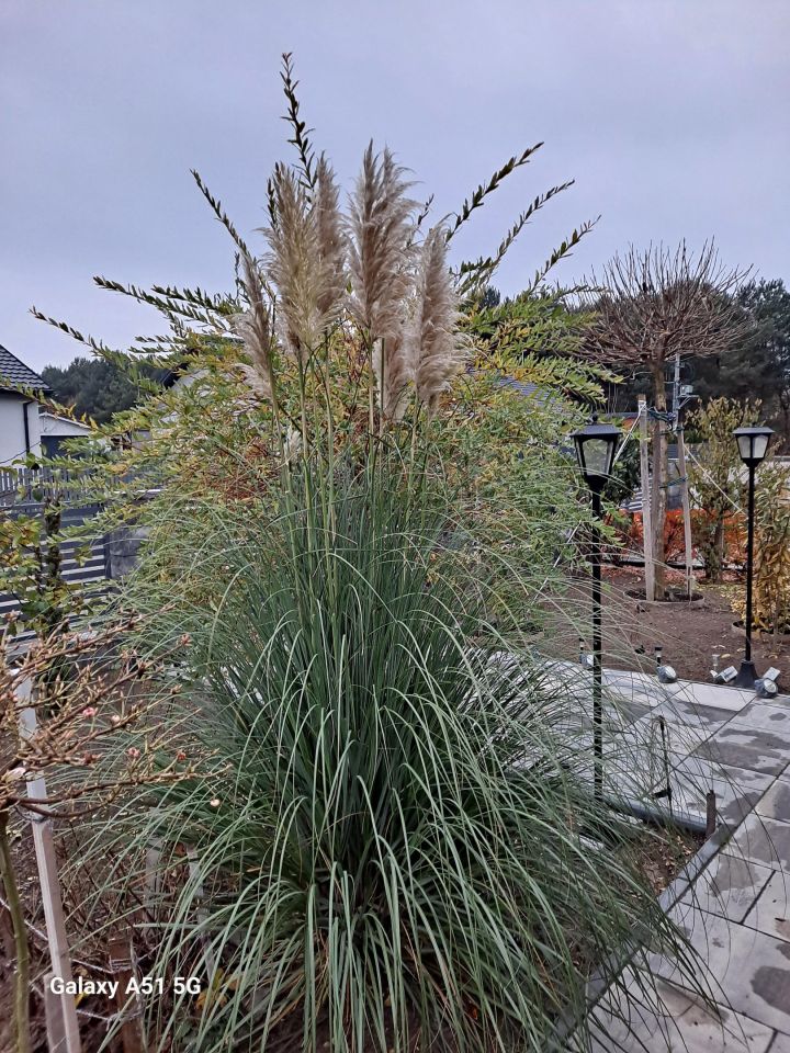 dom wolnostojący, 5 pokoi Aleksandrów Kujawski. Zdjęcie 6