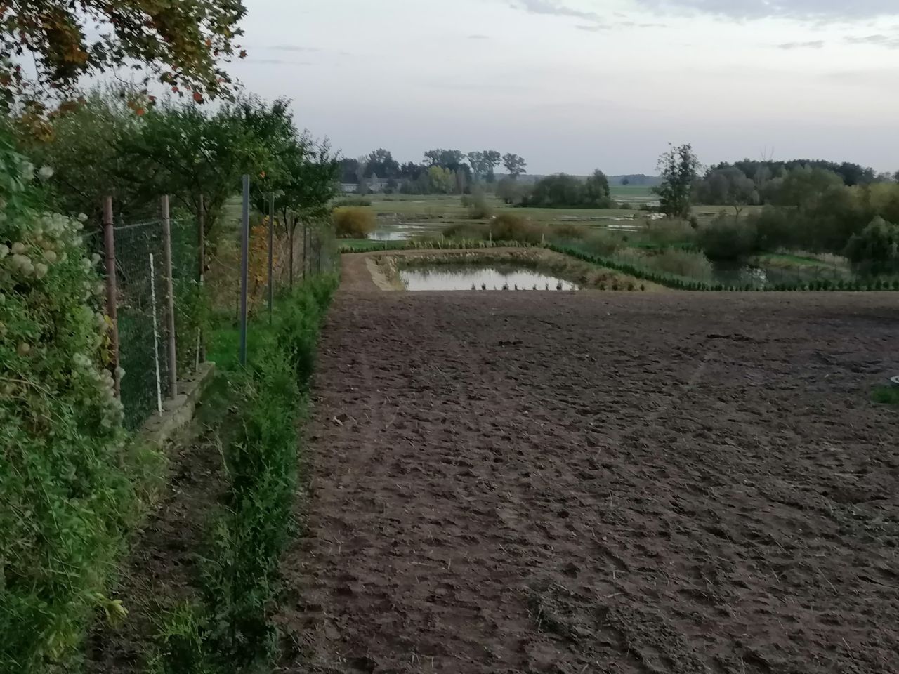 Działka siedliskowa Stara Sucha. Zdjęcie 14