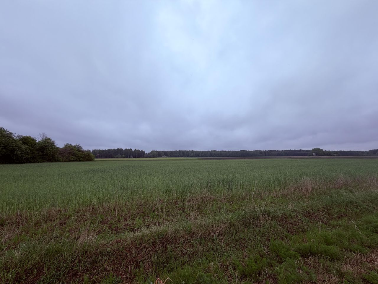 Działka budowlana Węgrów Nowiny, Miodowa. Zdjęcie 4