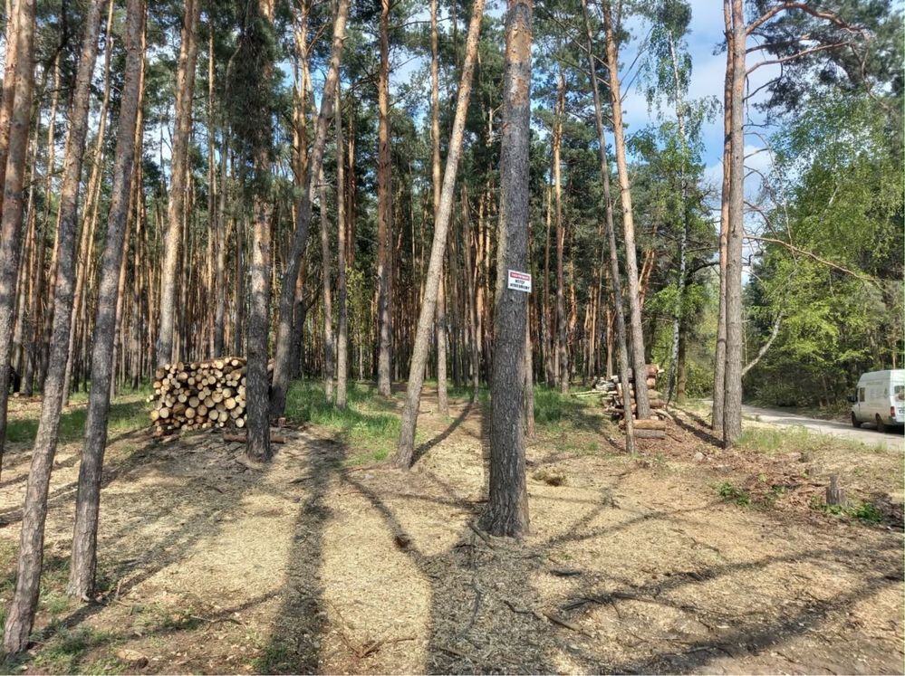 Działka leśna Warszawa Białołęka. Zdjęcie 2