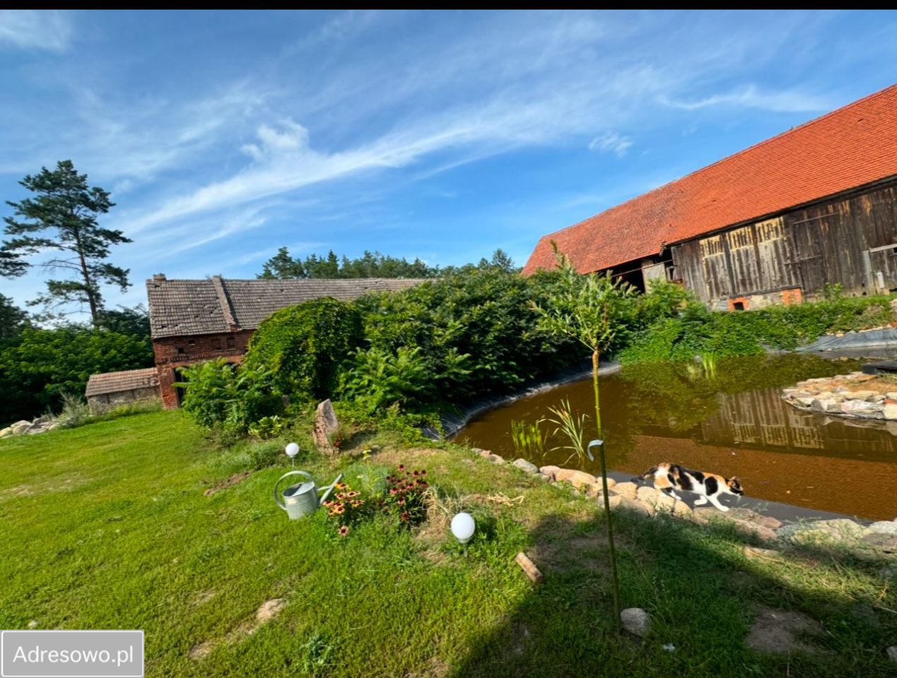 dom wolnostojący, 4 pokoje Trzcinna. Zdjęcie 8