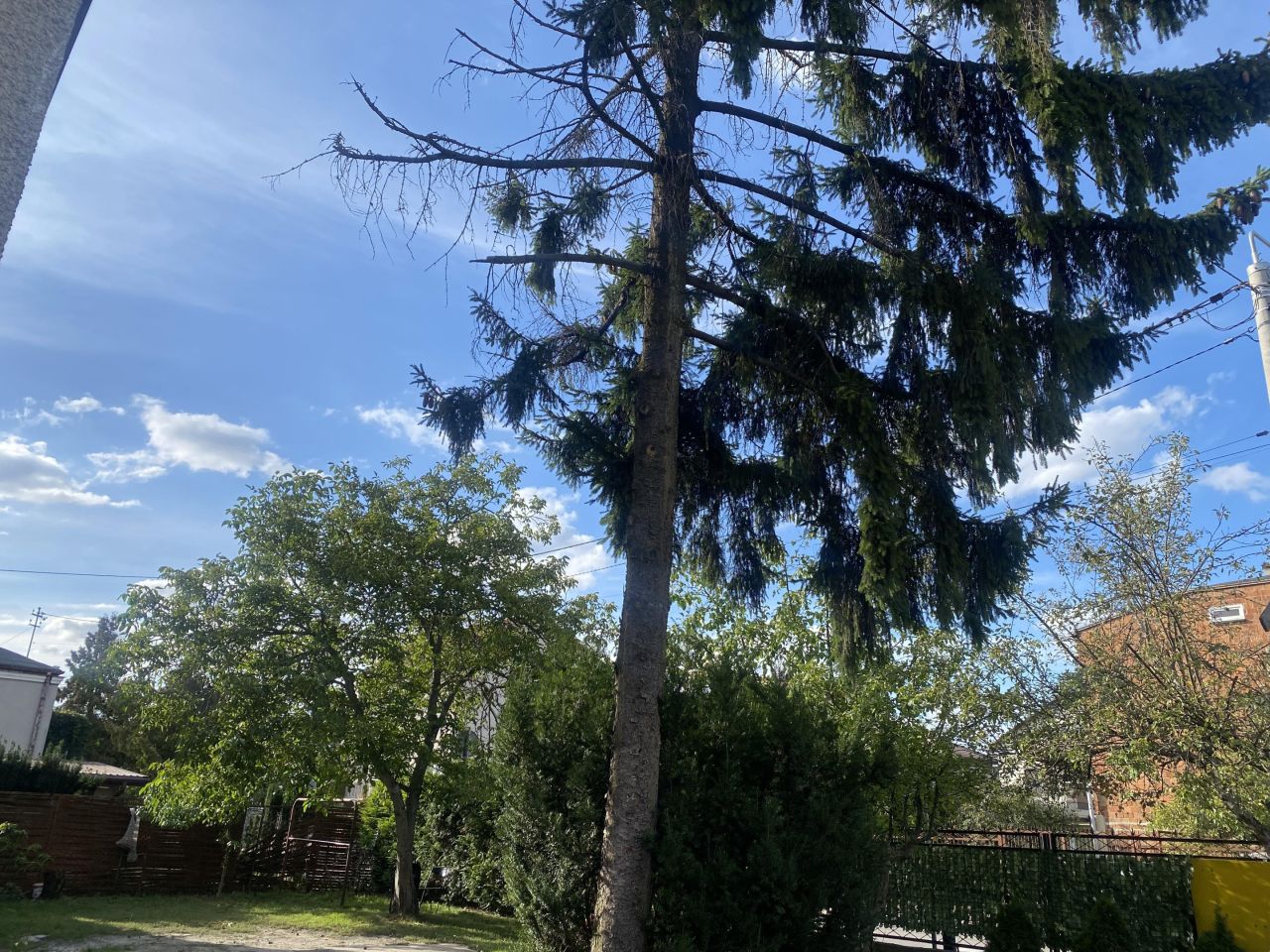 Mieszkanie 3-pokojowe Ząbki Centrum, ul. Kwiatowa. Zdjęcie 13