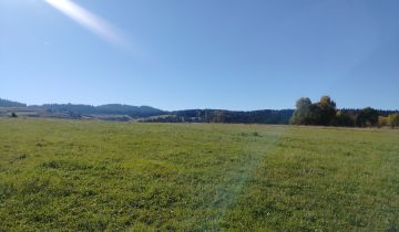 Działka rolna Grywałd