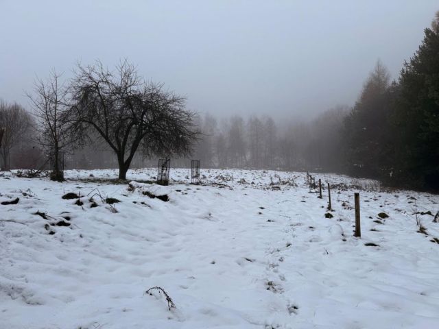 Działka budowlana Jastrzębie-Zdrój Ruptawa, ul. Matejki. Zdjęcie 1