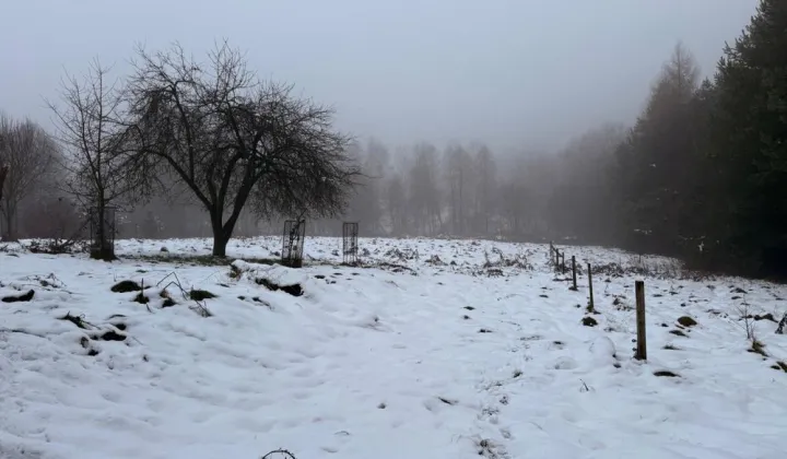 Działka budowlana Jastrzębie-Zdrój Ruptawa, ul. Matejki