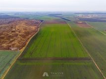 Działka rolna Rusko. Zdjęcie 4