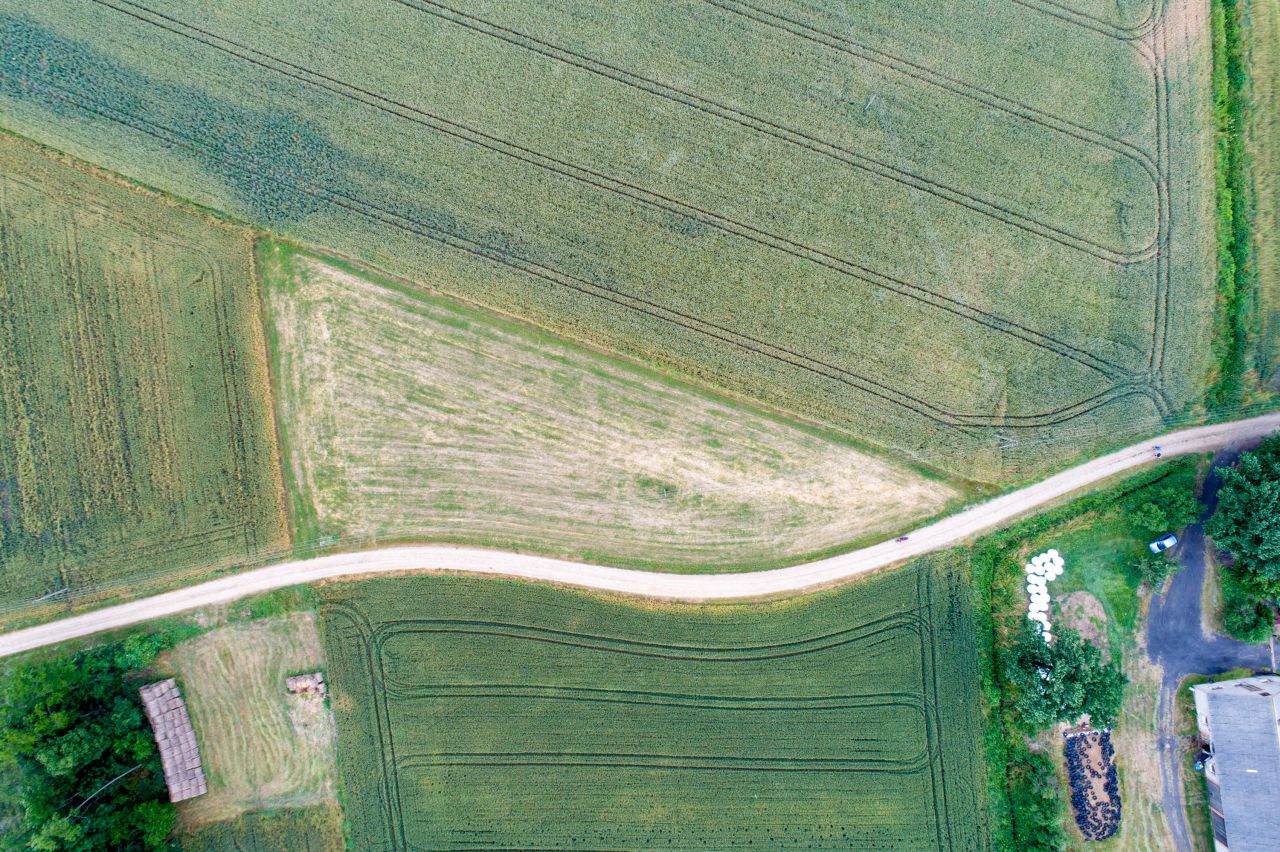 Działka rolno-budowlana Nacpolsk. Zdjęcie 5