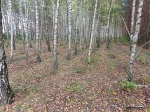 Działka rekreacyjna Świecie. Zdjęcie 3