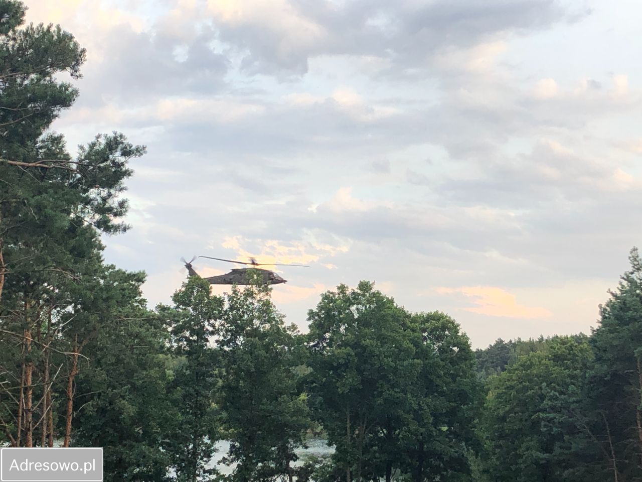 Działka leśna Anastazewo. Zdjęcie 14