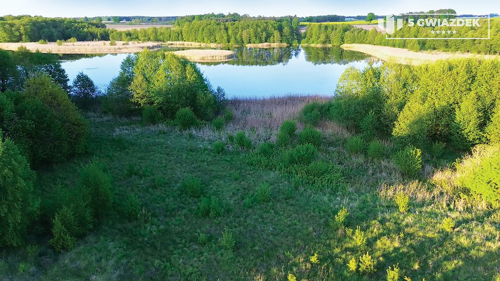 Działka budowlana Dziki. Zdjęcie 12