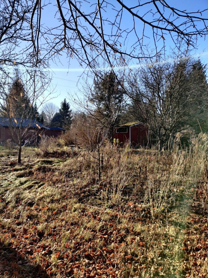 Działka rod Łódź Stoki, ul. Jana Dębowskiego. Zdjęcie 6