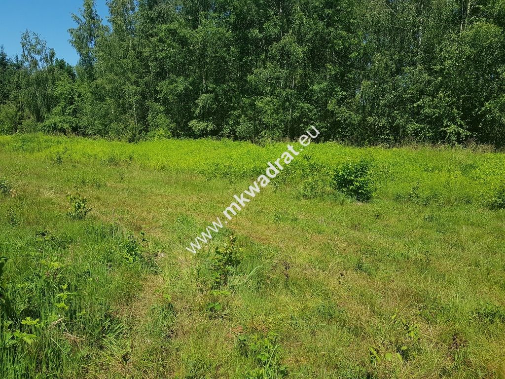 Działka budowlana Czarny Las. Zdjęcie 1