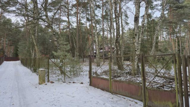 Działka budowlana Jedlicze B. Zdjęcie 1