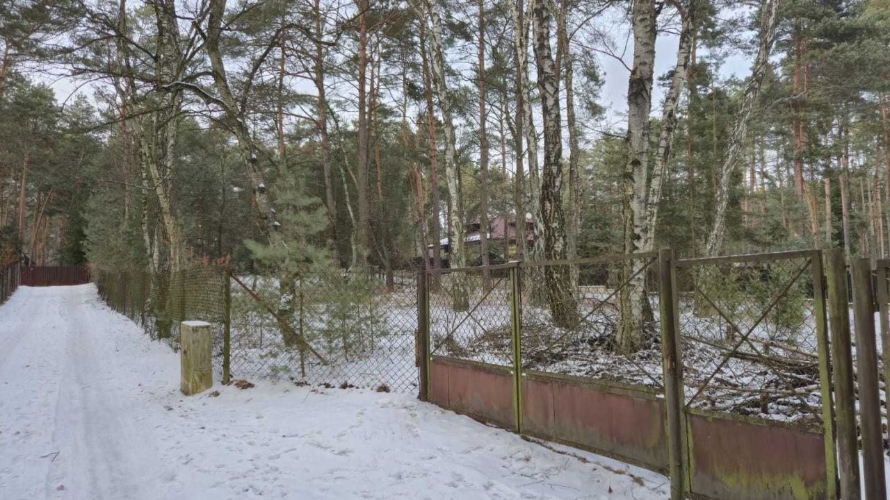 Działka budowlana Jedlicze B. Zdjęcie 1