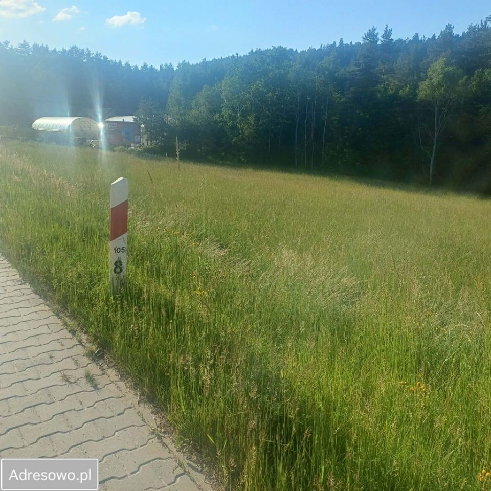 Działka inwestycyjna Zamieście. Zdjęcie 5