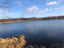 Działka rekreacyjna Rusinowo. Zdjęcie 1