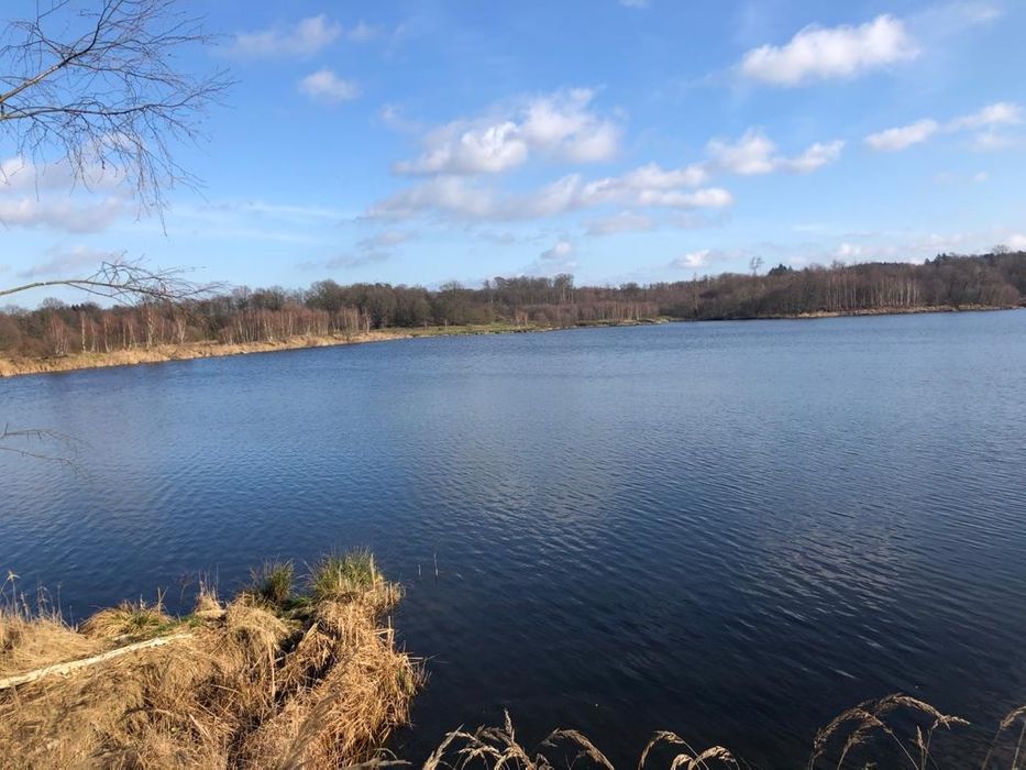 Działka rekreacyjna Rusinowo. Zdjęcie 2