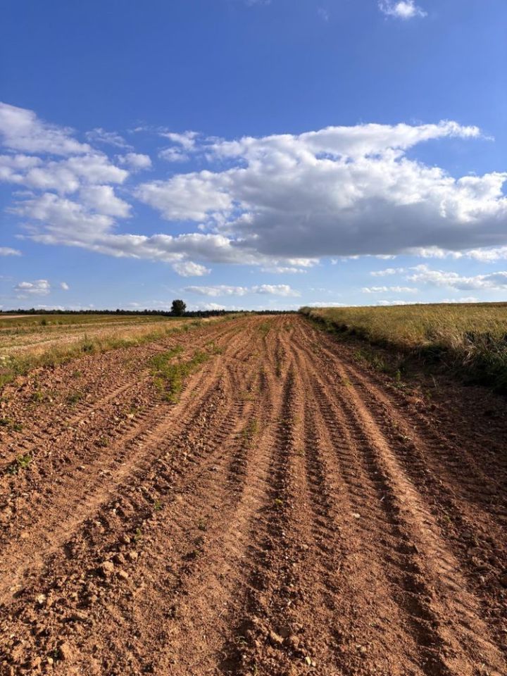 Działka siedliskowa Jaślików. Zdjęcie 2
