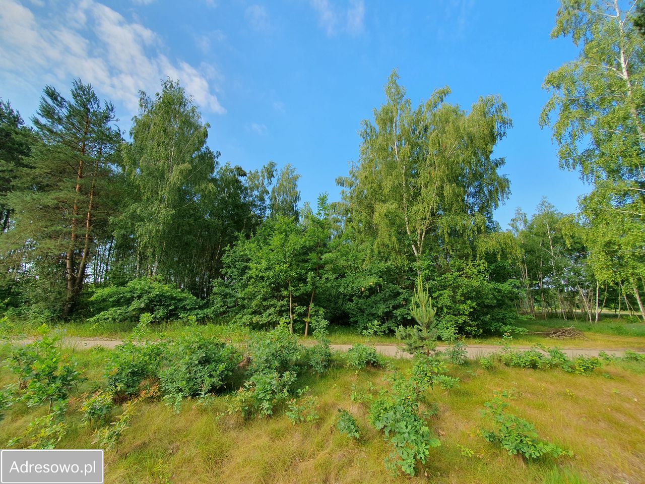 Działka rolno-budowlana Rasztów