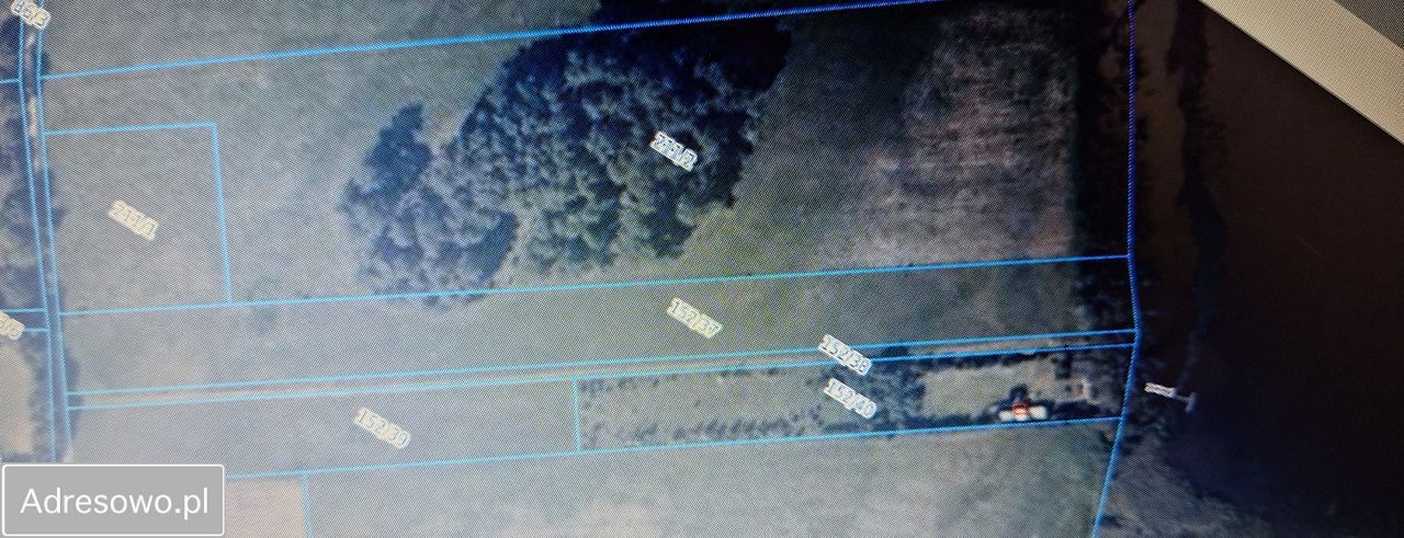 Działka rolna Mojtyny