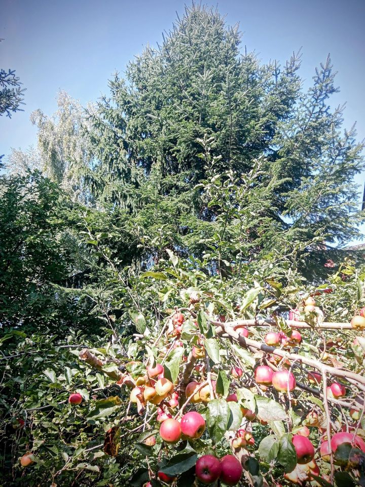 Mieszkanie 1-pokojowe Kraków Bronowice, ul. Bronowicka. Zdjęcie 12