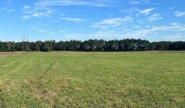 Działka rolna Krzyż Wielkopolski