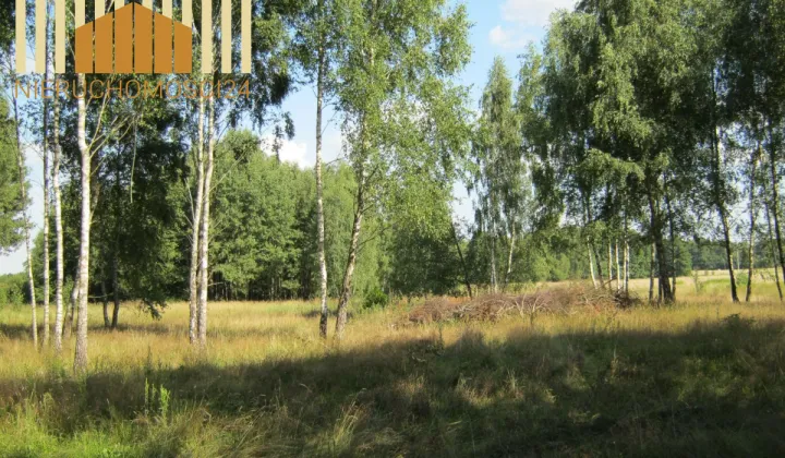 Działka budowlana Mrozy