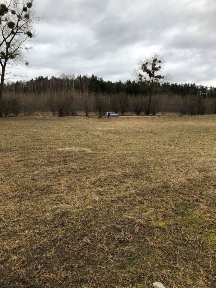 Działka budowlana Tomaszyn. Zdjęcie 2