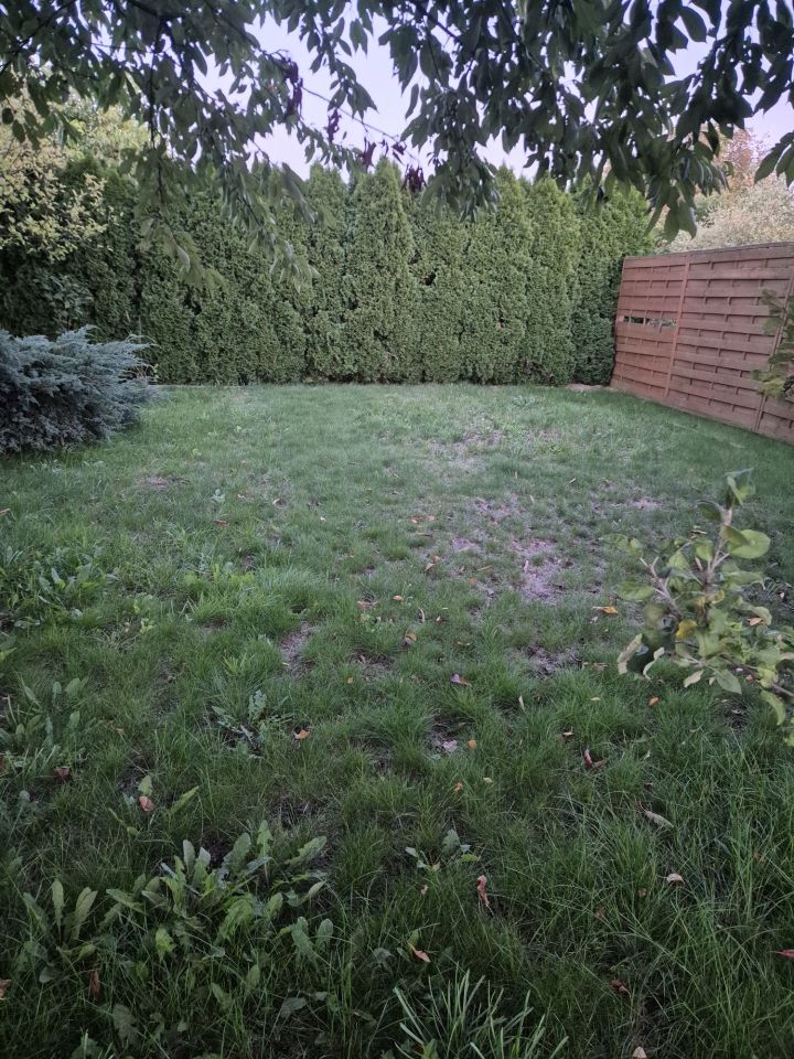 Działka rod Lubliniec, ul. Strzelecka. Zdjęcie 5