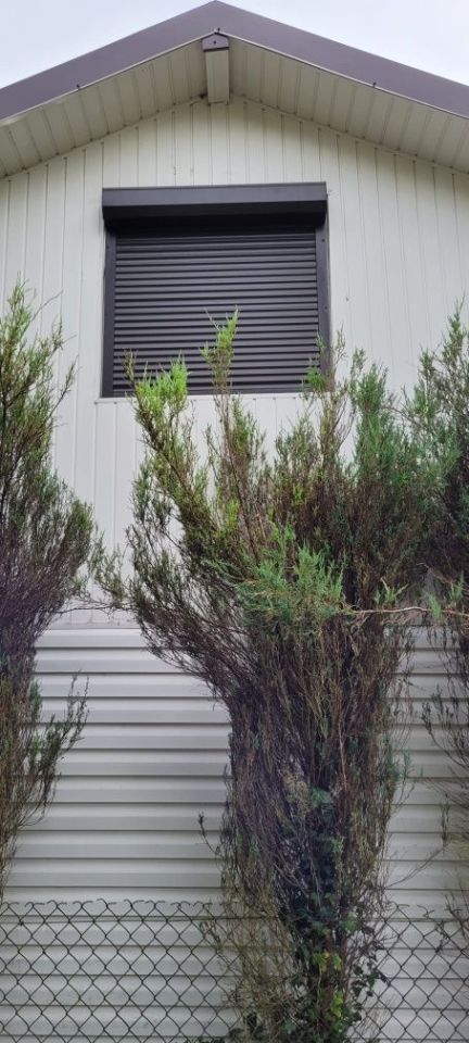 Działka rod Brodła. Zdjęcie 3