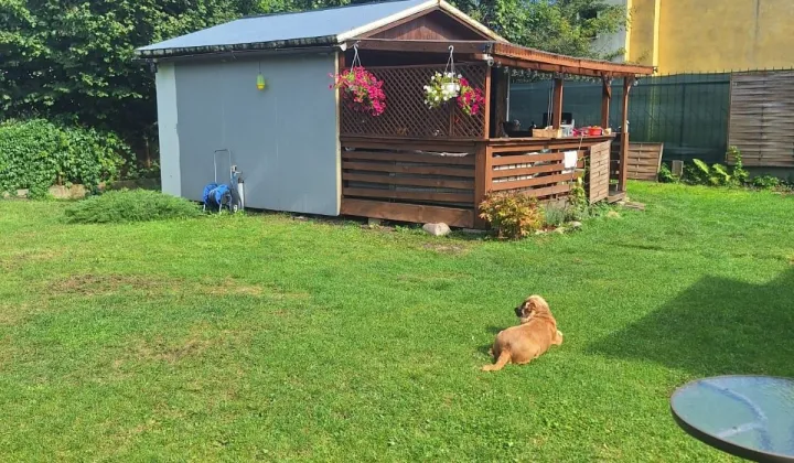 Działka rod Ząbki, ul. Łodygowa