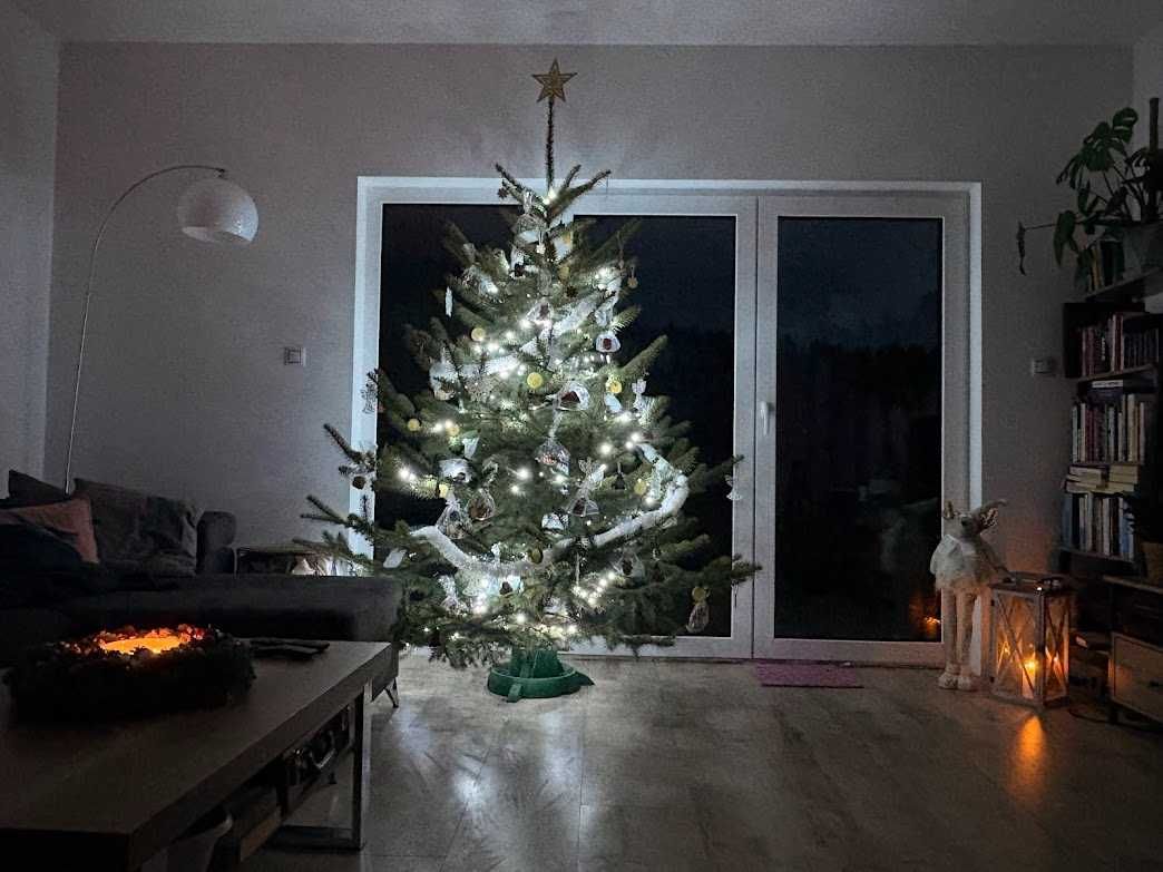 dom wolnostojący Nowa Wieś Grodziska Nowa Wieś Grodziska. Zdjęcie 6