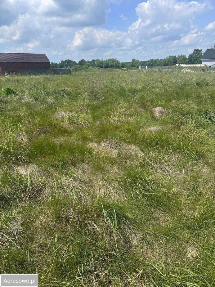 Działka budowlana Murzynowo Leśne, ul. Brodowska. Zdjęcie 4