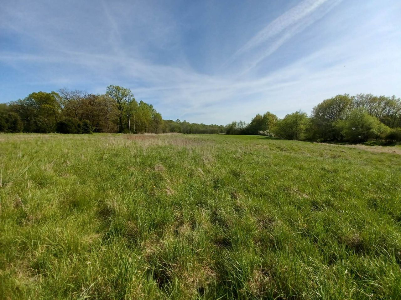 Działka rolna Gliniany. Zdjęcie 4