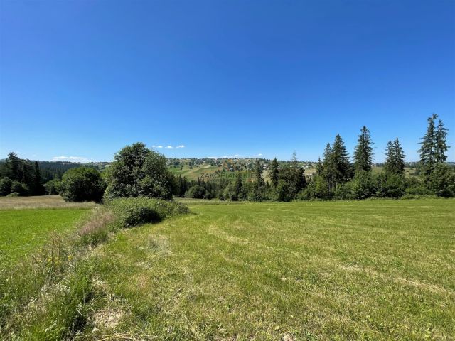 Działka Biały Dunajec. Zdjęcie 5