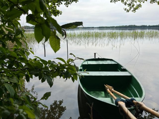 dom wolnostojący Elganowo. Zdjęcie 14