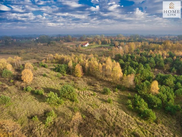 Działka siedliskowa Samin. Zdjęcie 16